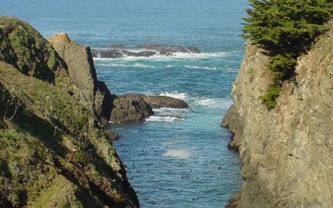 Mendocino cliffs and beach